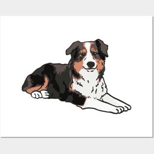 Australian Shepherd Dog Posters and Art